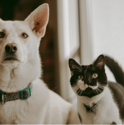 Screenshot 2025-09-17 154841